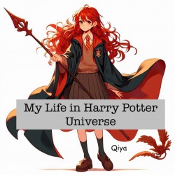 My Life in Harry Potter Universe