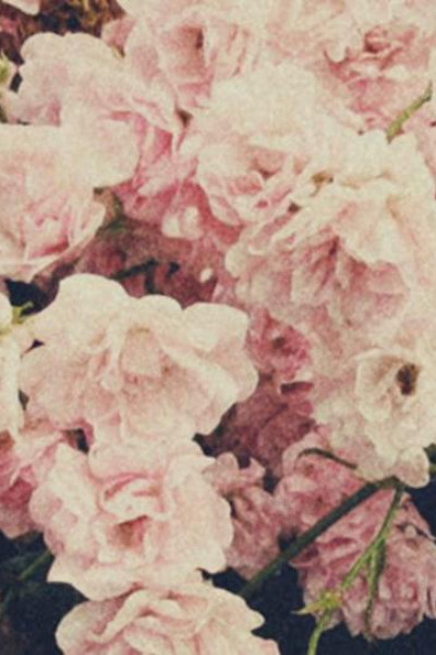 Epic Tale of a Broken Mind