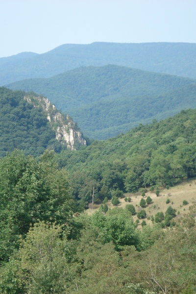 Bear Back The Frontiersman