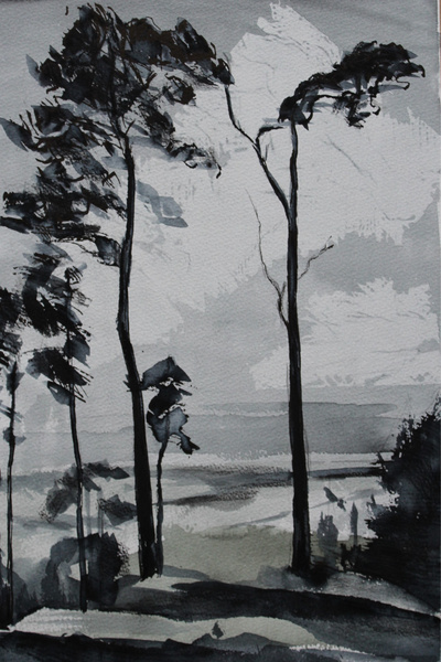 Border Vaudeville: Book One