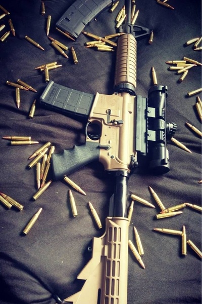 The Pursuit of Satisfaction