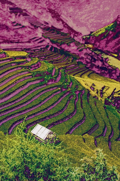 Isekaied to medieval Japan