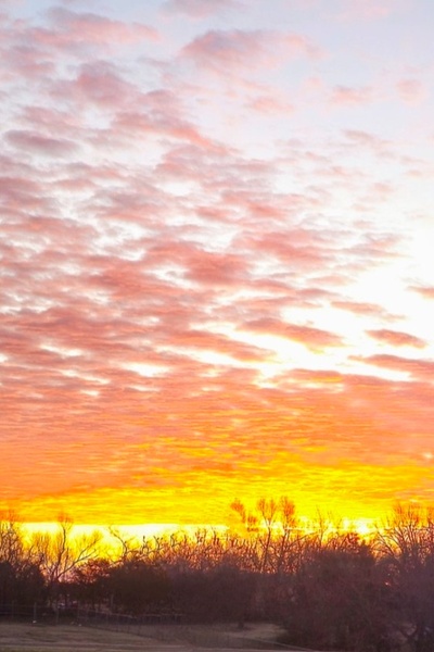 A Thousand Blue Butterflies