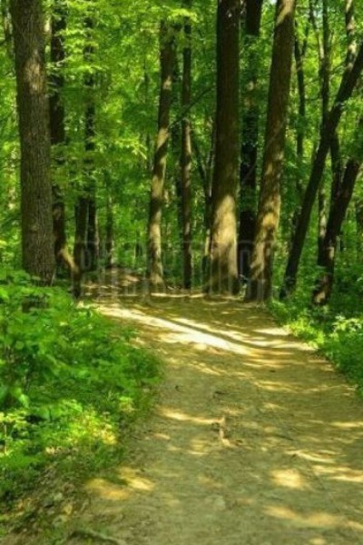 My Time at 110 Chemin des Patriotes Sud