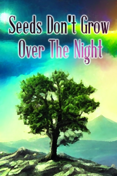 Seeds Don't Grow Over The Night