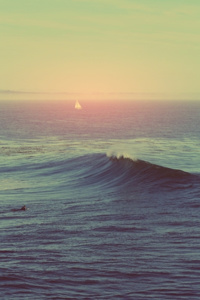 Reincarnated as a shark, Became a planet