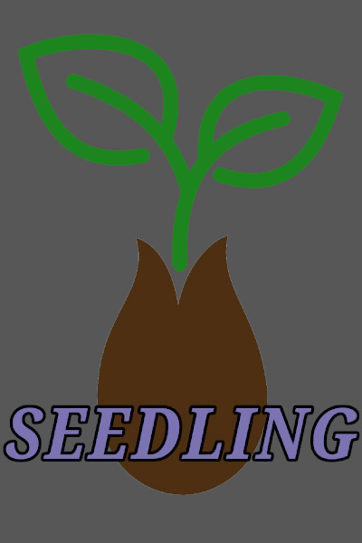 Seedling