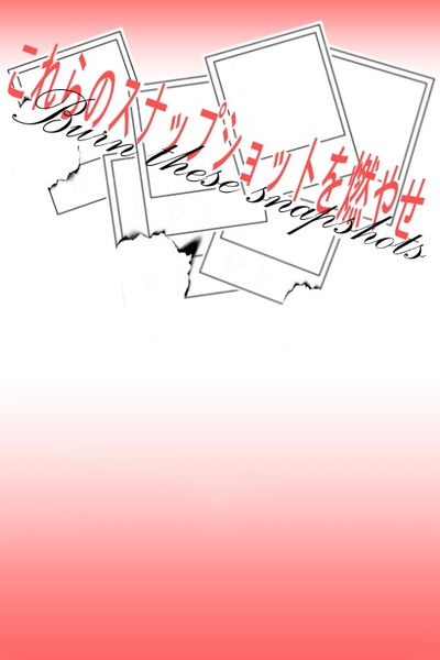 Burn these Snapshots