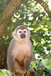 Aegis: Welcome to the End of the Universe