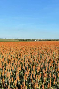 It's About the Journey