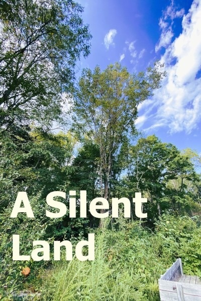 A Silent Land