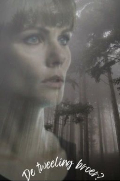 De Tweeling broer (nederlands)