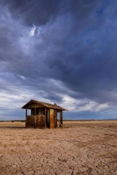 Conquistador Cultivator