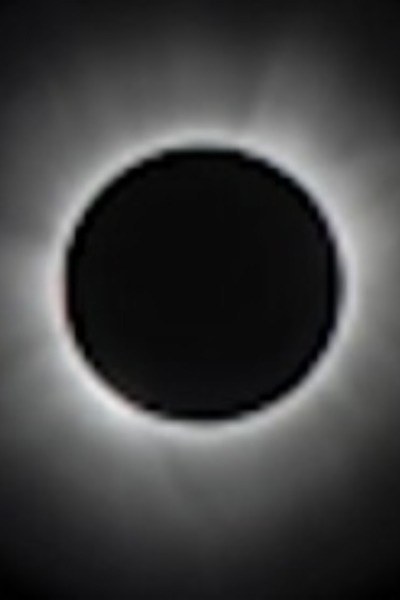 Everything is Fungible: Life Under the Dark Sun