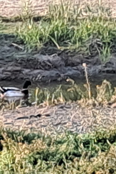 Unquestionable throughout mortality