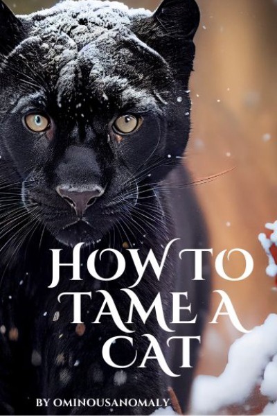 How To Tame A Cat