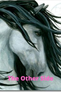 The Other Side - A Riveting Tale of Love, Lust and Revenge.