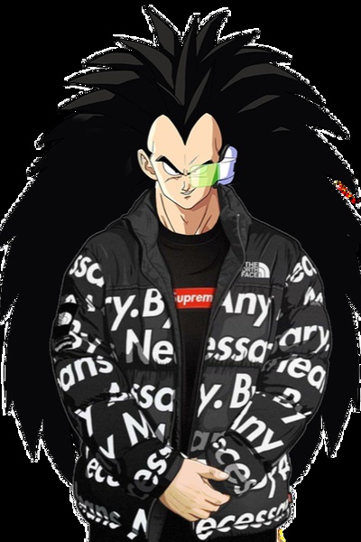 Reborn as Raditz