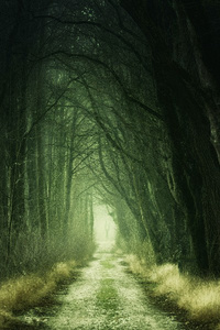 Daughter of the Lost