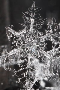 The Adventures of a Unique Snowflake [rewrite in progress]