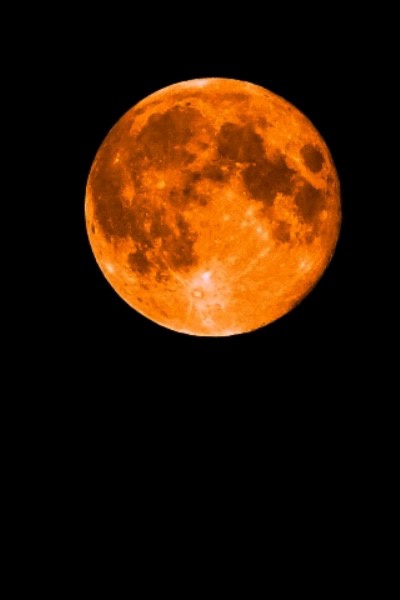 Grab happiness with my own hands