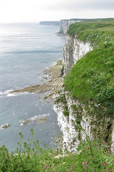 Through the Bottom of the World: A Choose-your-own-Speed Run