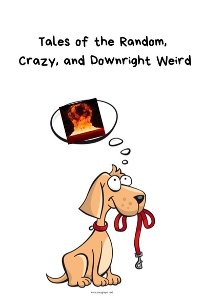 Tales of the Random, Crazy, and Downright Weird