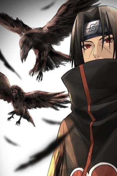 Naruto: Transmigrated in the Avatar World